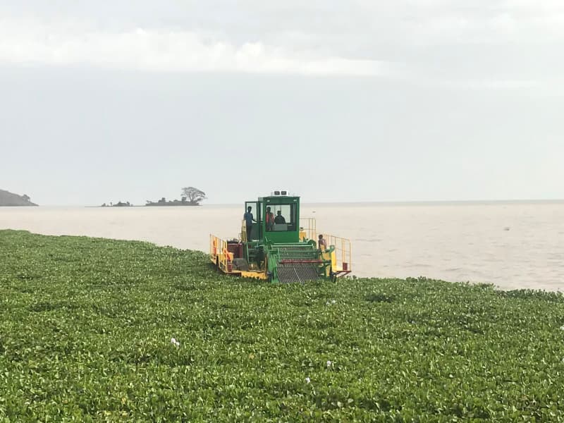 Automatyczny statek do czyszczenia wody/zbieracz chwastów wodnych/łódź do zbierania śmieci