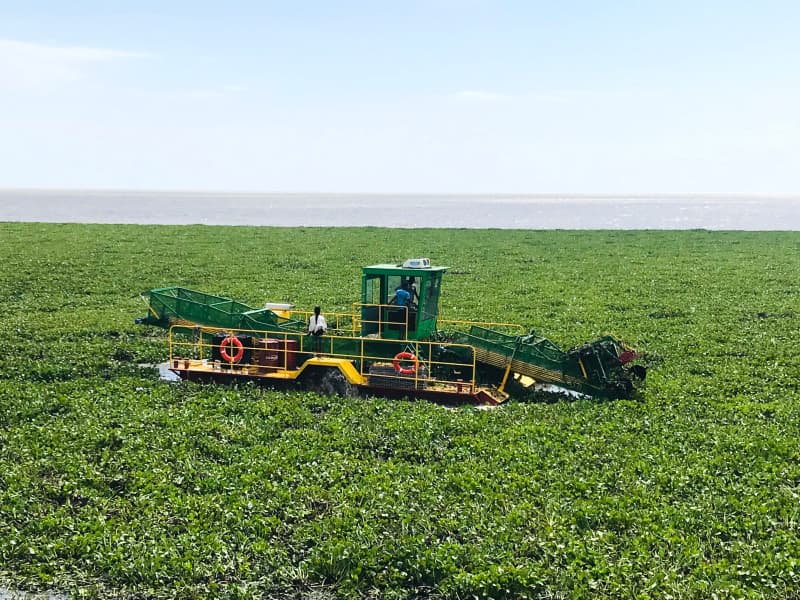 Automatyczny statek do czyszczenia wody/zbieracz chwastów wodnych/łódź do zbierania śmieci