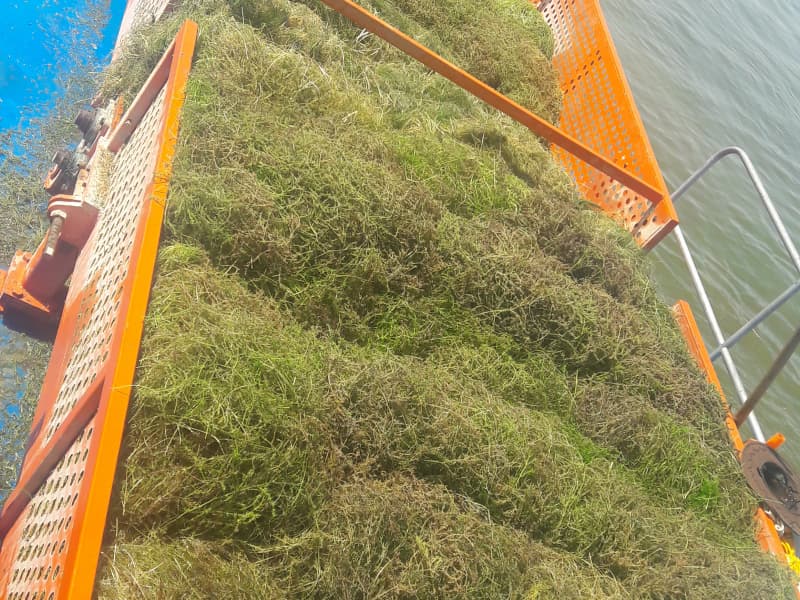 Automatyczny statek do czyszczenia wody/zbieracz chwastów wodnych/łódź do zbierania śmieci