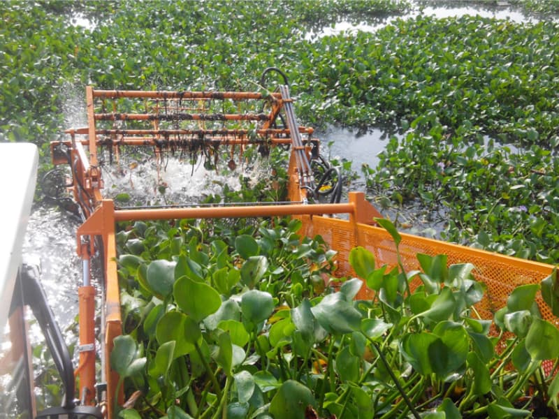 Automatyczny statek do czyszczenia wody/zbieracz chwastów wodnych/łódź do zbierania śmieci